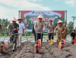 Dukung Swasembada Pangan, Kapolres Jombang Bersama Frkopimda Tanam Jagung Serentak 1 Juta Hektar