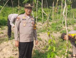 Manfaatkan Lahan Produktif, Kapolsek Kudu Tinjau Progres Pertumbuhan Tanaman Uwi Ungu